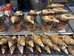 潮州炭烧大响螺-七寸飝大饭店(马场店)