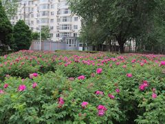 -辽宁大学(崇山校区)