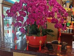 -全聚德烤鸭店(马家堡店)