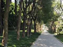 -宋庆龄陵园