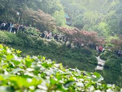 -岳麓山风景名胜区