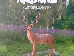 -水上乐园·欢乐世界