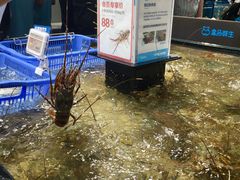 -盒马鲜生(曜一城店)