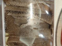 -袁记串串香(新南门店)