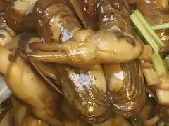 前海沿儿-鲁前海沿儿