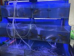 -芦茨金富饭庄·25年老字号·专做稻草鸡