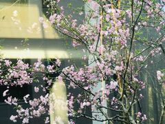 -网易（杭州）网络有限公司