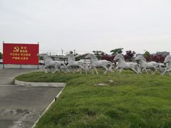-胜华驾校·小猫学车(银都店)