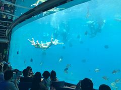 -瑞德姆美人鱼海底演艺主题餐厅(亚龙湾店)