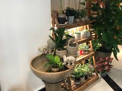 -十二舍·湯物素煮(江泰潤政店)