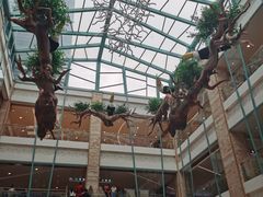 -大族广场Mall&More