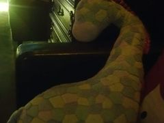 -鸡尾酒实验室酒吧(隆礼路店)
