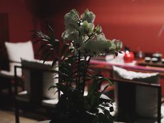 -璞·澐间影院式足道SPA(尚悦湾店)