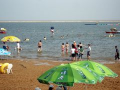 -碧海金沙