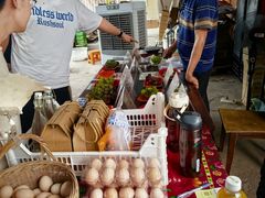 -马陆小张葡萄园农家乐