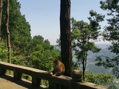 -重庆雨台山风景区