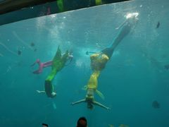 -瑞德姆美人鱼海底演艺主题餐厅(亚龙湾店)