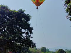 -中国科学院西双版纳热带植物园