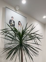 -北遇映画PHOTO GRAPHY STUDIO