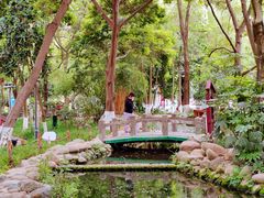 -成都市活水公园