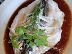 钱湖四宝-朋鱼-宁波柏悦酒店·钱湖渔港