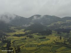 -牛街螺丝田