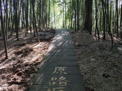 -藏龙百瀑风景区