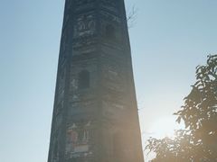 -上海佘山国家森林公园天马山园