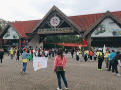 -上海海湾国家森林公园