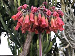 -南通洲际绿博园