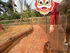 -海南热带野生动植物园