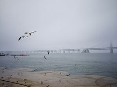 -星海湾跨海大桥