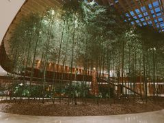 -北京望京凯悦酒店The Lounge大堂酒廊