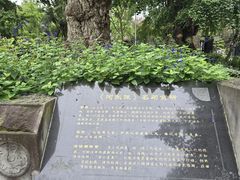 -郫都区农科村景区