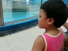 -北戴河圣蓝海洋公园