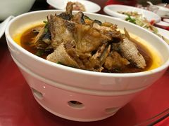 -苏启渔港(云南北路店)