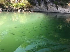 -九曲溪竹筏码头