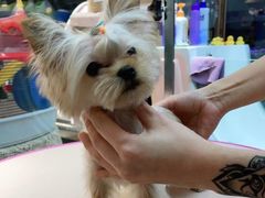 -FAELING PETS美天灵宠物(富力广场店)