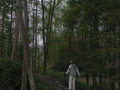 -桤木河湿地公园