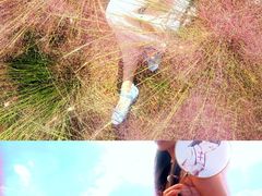 -苏州东太湖生态园