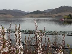 -河口景区