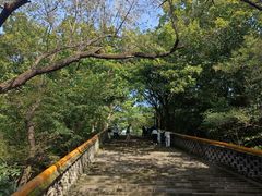 -沈阳市东陵公园