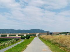 -光明小镇欢乐田园