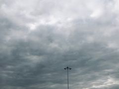 -上海第二工业大学(金海路校区)