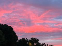 -呼吸森林·生态农庄农家乐私房菜