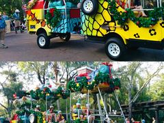 -奥兰多迪士尼动物王国乐园