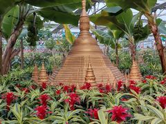 -南宫五洲植物乐园