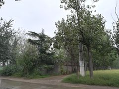 -汉长安城未央宫国家考古遗址公园