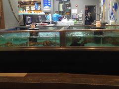 水产区-盒马鲜生(宝地店)
