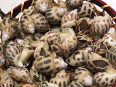 -在水一方商务休闲会所